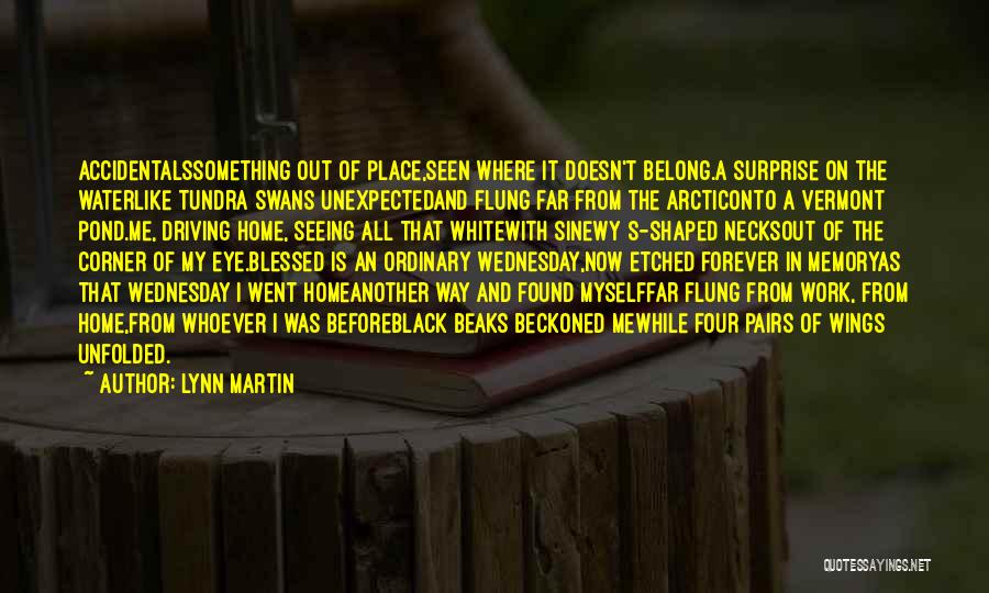 Lynn Martin Quotes: Accidentalssomething Out Of Place,seen Where It Doesn't Belong.a Surprise On The Waterlike Tundra Swans Unexpectedand Flung Far From The Arcticonto