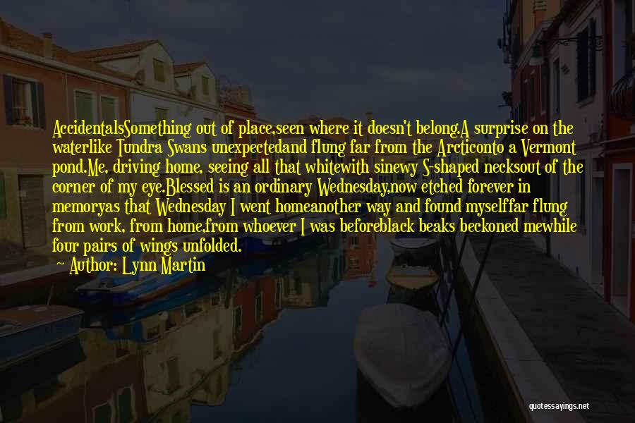 Lynn Martin Quotes: Accidentalssomething Out Of Place,seen Where It Doesn't Belong.a Surprise On The Waterlike Tundra Swans Unexpectedand Flung Far From The Arcticonto