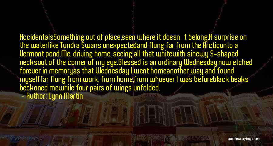 Lynn Martin Quotes: Accidentalssomething Out Of Place,seen Where It Doesn't Belong.a Surprise On The Waterlike Tundra Swans Unexpectedand Flung Far From The Arcticonto