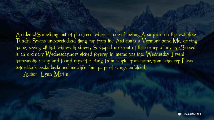 Lynn Martin Quotes: Accidentalssomething Out Of Place,seen Where It Doesn't Belong.a Surprise On The Waterlike Tundra Swans Unexpectedand Flung Far From The Arcticonto
