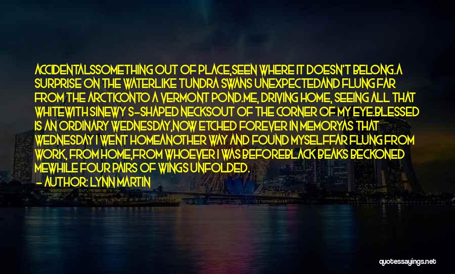 Lynn Martin Quotes: Accidentalssomething Out Of Place,seen Where It Doesn't Belong.a Surprise On The Waterlike Tundra Swans Unexpectedand Flung Far From The Arcticonto
