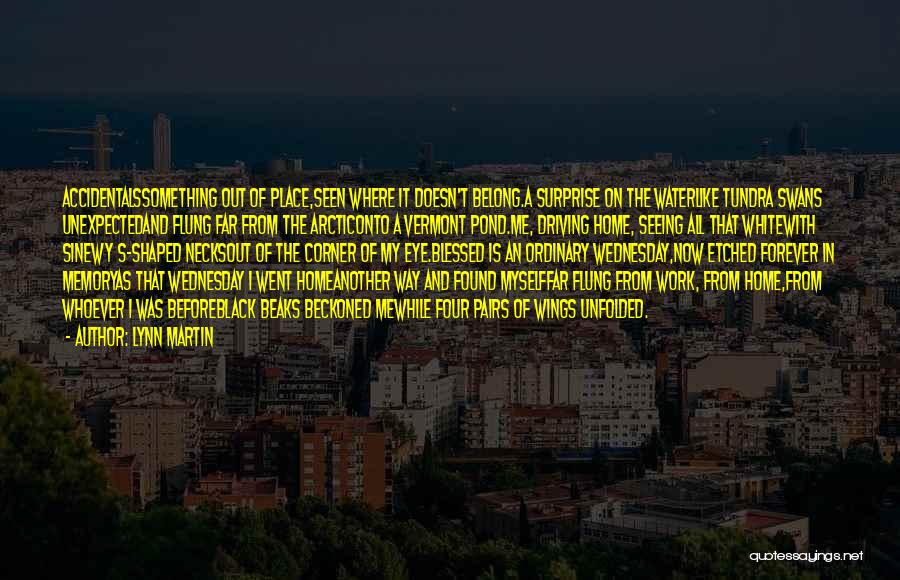 Lynn Martin Quotes: Accidentalssomething Out Of Place,seen Where It Doesn't Belong.a Surprise On The Waterlike Tundra Swans Unexpectedand Flung Far From The Arcticonto