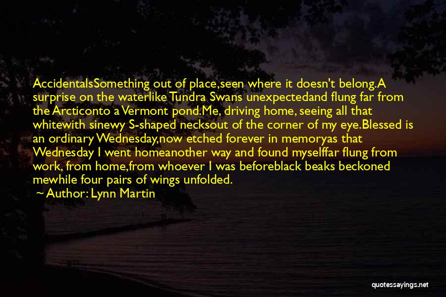 Lynn Martin Quotes: Accidentalssomething Out Of Place,seen Where It Doesn't Belong.a Surprise On The Waterlike Tundra Swans Unexpectedand Flung Far From The Arcticonto