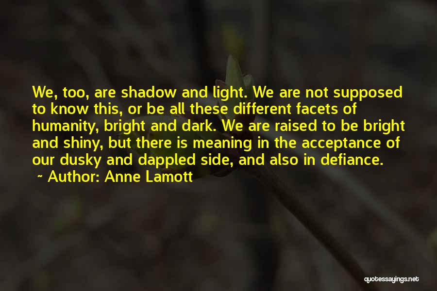 Anne Lamott Quotes: We, Too, Are Shadow And Light. We Are Not Supposed To Know This, Or Be All These Different Facets Of