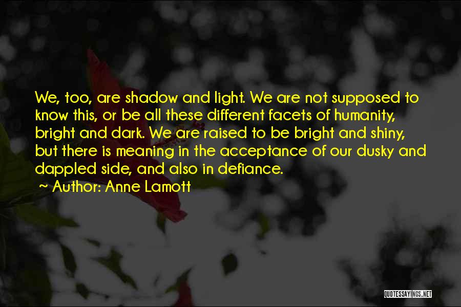 Anne Lamott Quotes: We, Too, Are Shadow And Light. We Are Not Supposed To Know This, Or Be All These Different Facets Of