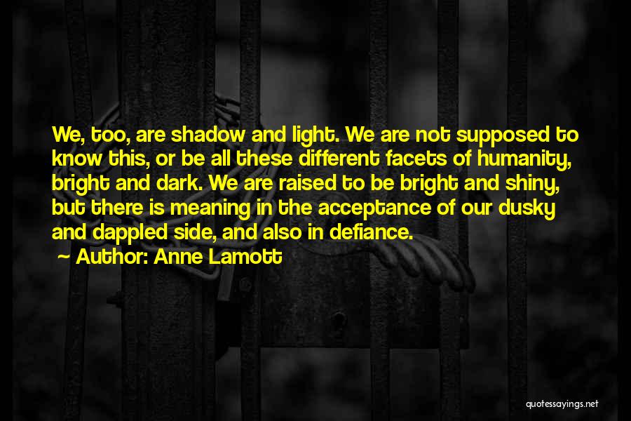 Anne Lamott Quotes: We, Too, Are Shadow And Light. We Are Not Supposed To Know This, Or Be All These Different Facets Of