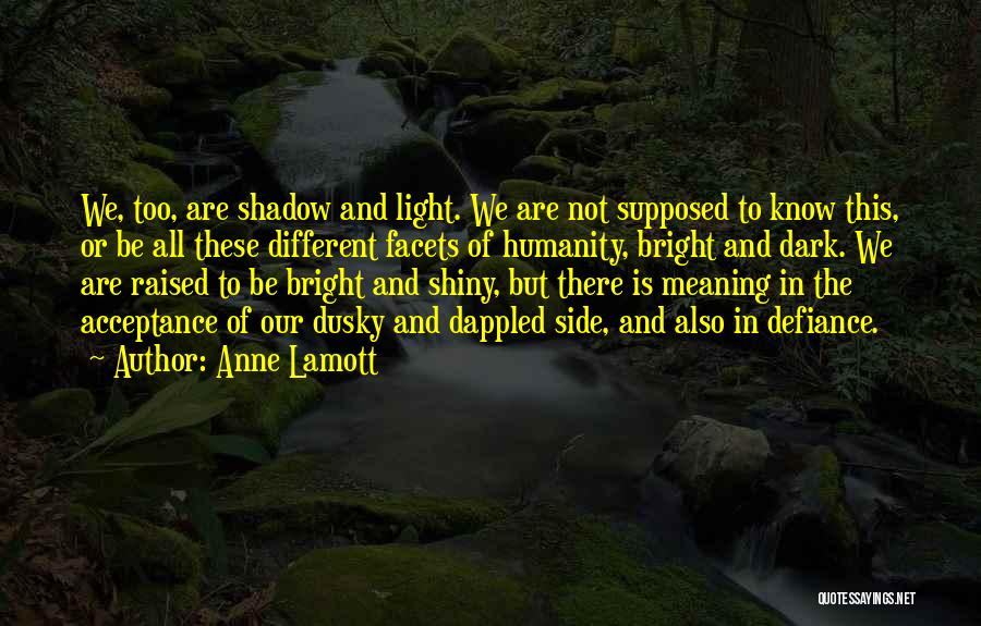 Anne Lamott Quotes: We, Too, Are Shadow And Light. We Are Not Supposed To Know This, Or Be All These Different Facets Of