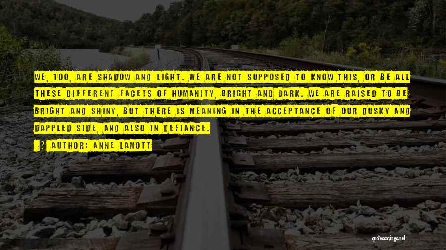 Anne Lamott Quotes: We, Too, Are Shadow And Light. We Are Not Supposed To Know This, Or Be All These Different Facets Of
