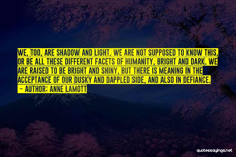 Anne Lamott Quotes: We, Too, Are Shadow And Light. We Are Not Supposed To Know This, Or Be All These Different Facets Of