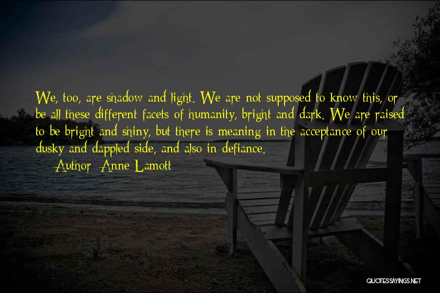 Anne Lamott Quotes: We, Too, Are Shadow And Light. We Are Not Supposed To Know This, Or Be All These Different Facets Of