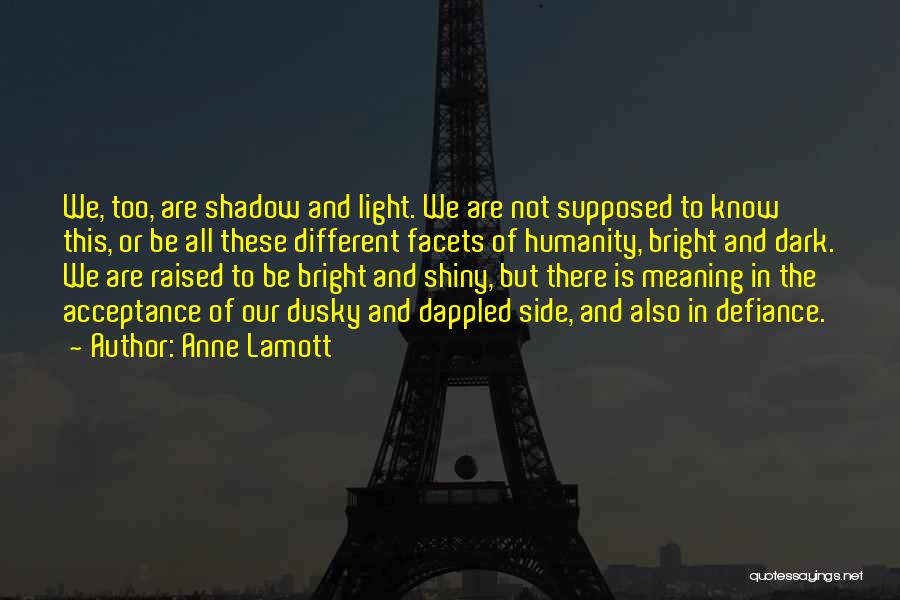 Anne Lamott Quotes: We, Too, Are Shadow And Light. We Are Not Supposed To Know This, Or Be All These Different Facets Of