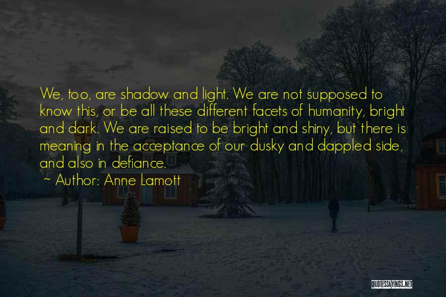 Anne Lamott Quotes: We, Too, Are Shadow And Light. We Are Not Supposed To Know This, Or Be All These Different Facets Of