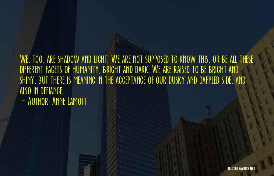 Anne Lamott Quotes: We, Too, Are Shadow And Light. We Are Not Supposed To Know This, Or Be All These Different Facets Of