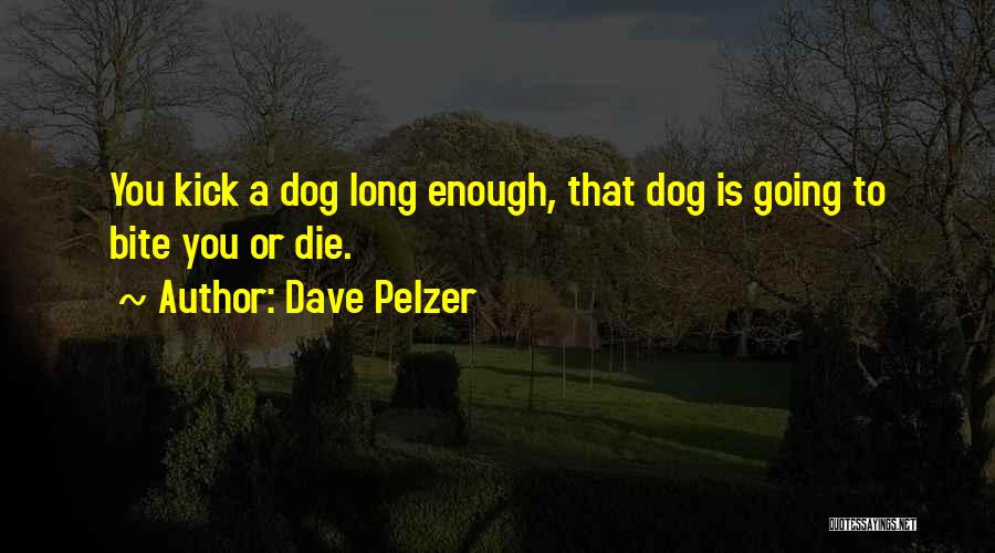 Dave Pelzer Quotes: You Kick A Dog Long Enough, That Dog Is Going To Bite You Or Die.