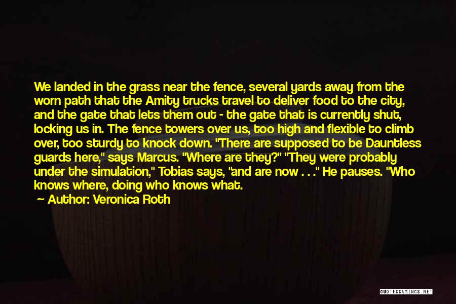 Veronica Roth Quotes: We Landed In The Grass Near The Fence, Several Yards Away From The Worn Path That The Amity Trucks Travel