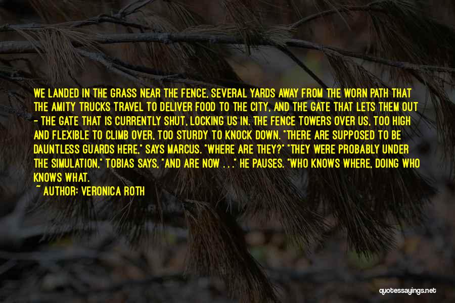 Veronica Roth Quotes: We Landed In The Grass Near The Fence, Several Yards Away From The Worn Path That The Amity Trucks Travel