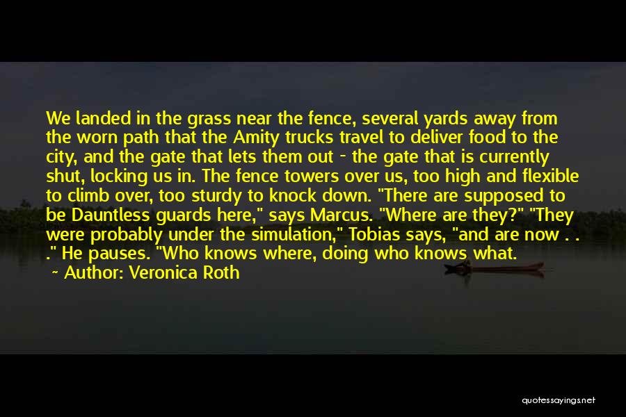 Veronica Roth Quotes: We Landed In The Grass Near The Fence, Several Yards Away From The Worn Path That The Amity Trucks Travel