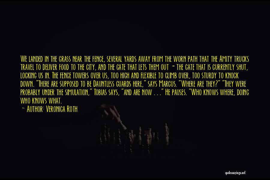 Veronica Roth Quotes: We Landed In The Grass Near The Fence, Several Yards Away From The Worn Path That The Amity Trucks Travel