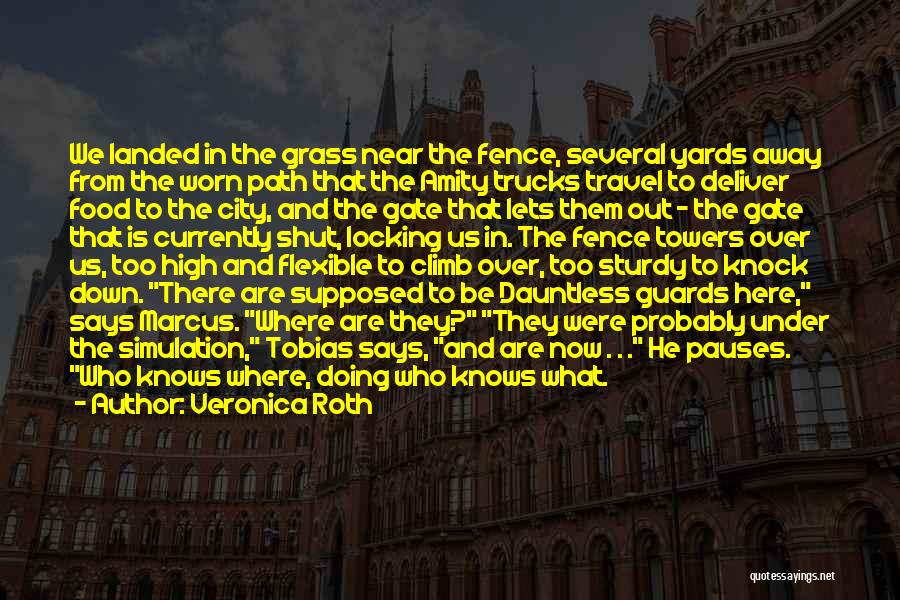 Veronica Roth Quotes: We Landed In The Grass Near The Fence, Several Yards Away From The Worn Path That The Amity Trucks Travel