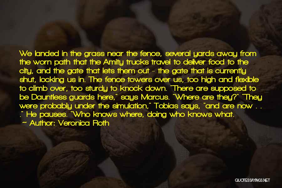 Veronica Roth Quotes: We Landed In The Grass Near The Fence, Several Yards Away From The Worn Path That The Amity Trucks Travel