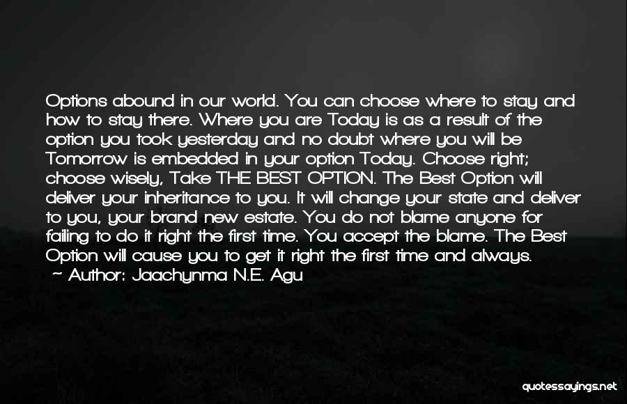 Jaachynma N.E. Agu Quotes: Options Abound In Our World. You Can Choose Where To Stay And How To Stay There. Where You Are Today