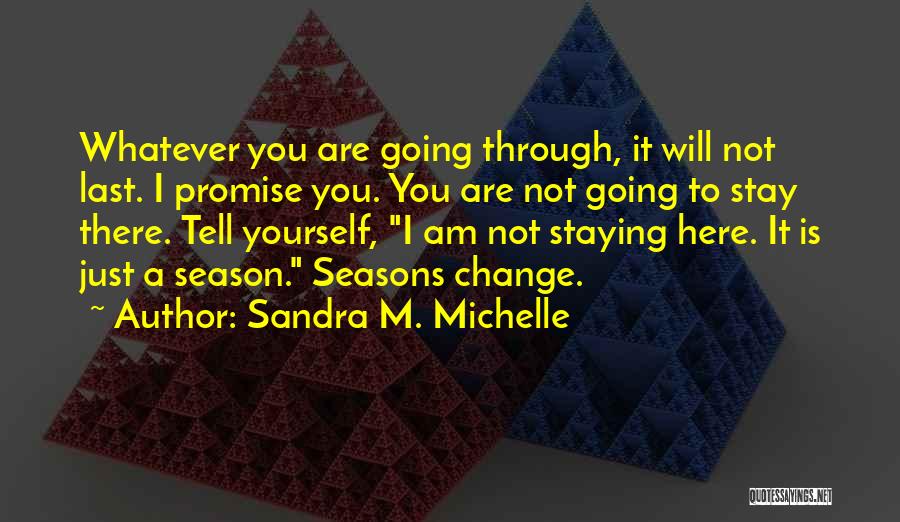 Sandra M. Michelle Quotes: Whatever You Are Going Through, It Will Not Last. I Promise You. You Are Not Going To Stay There. Tell