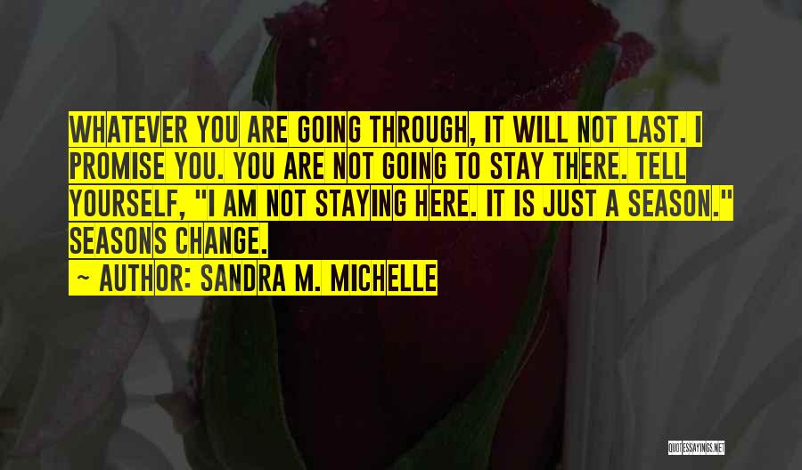 Sandra M. Michelle Quotes: Whatever You Are Going Through, It Will Not Last. I Promise You. You Are Not Going To Stay There. Tell