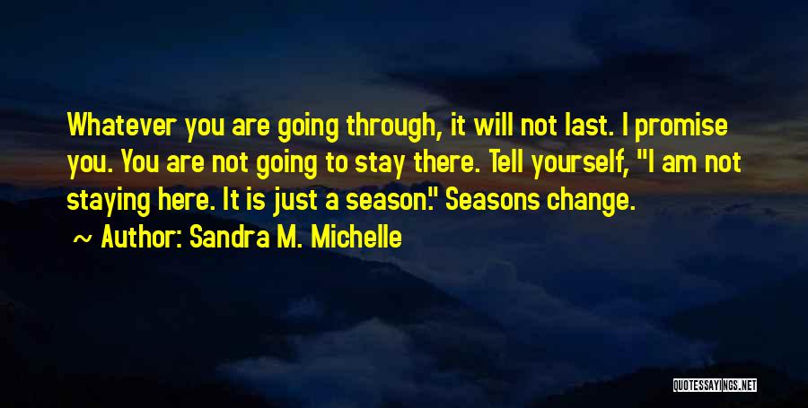 Sandra M. Michelle Quotes: Whatever You Are Going Through, It Will Not Last. I Promise You. You Are Not Going To Stay There. Tell