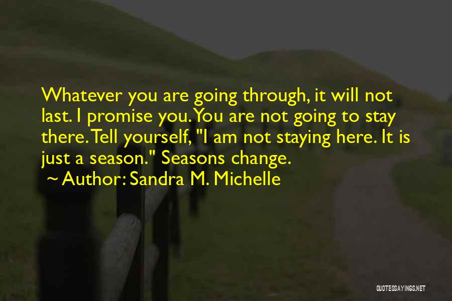 Sandra M. Michelle Quotes: Whatever You Are Going Through, It Will Not Last. I Promise You. You Are Not Going To Stay There. Tell