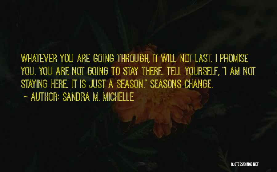 Sandra M. Michelle Quotes: Whatever You Are Going Through, It Will Not Last. I Promise You. You Are Not Going To Stay There. Tell