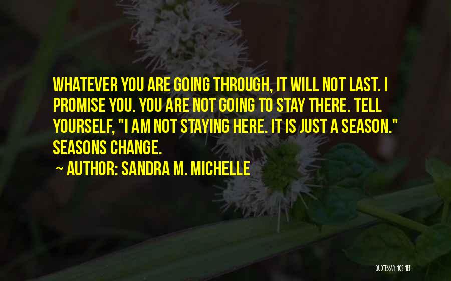 Sandra M. Michelle Quotes: Whatever You Are Going Through, It Will Not Last. I Promise You. You Are Not Going To Stay There. Tell