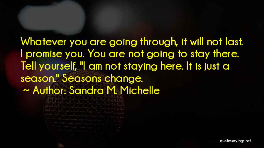 Sandra M. Michelle Quotes: Whatever You Are Going Through, It Will Not Last. I Promise You. You Are Not Going To Stay There. Tell