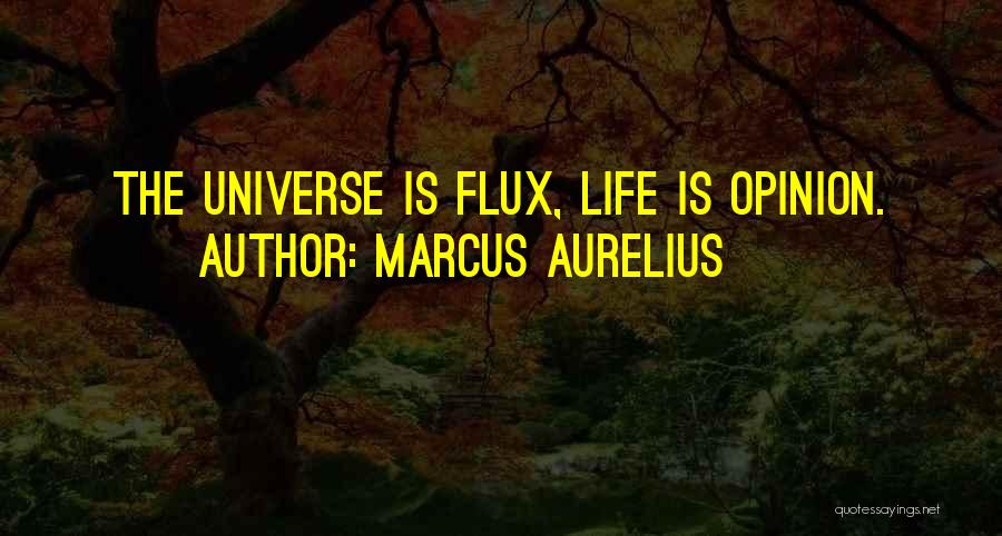 Marcus Aurelius Quotes: The Universe Is Flux, Life Is Opinion.