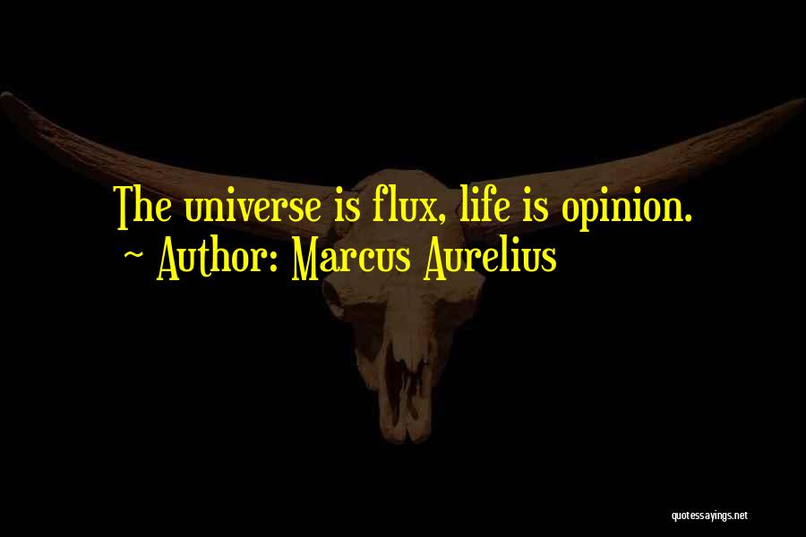 Marcus Aurelius Quotes: The Universe Is Flux, Life Is Opinion.