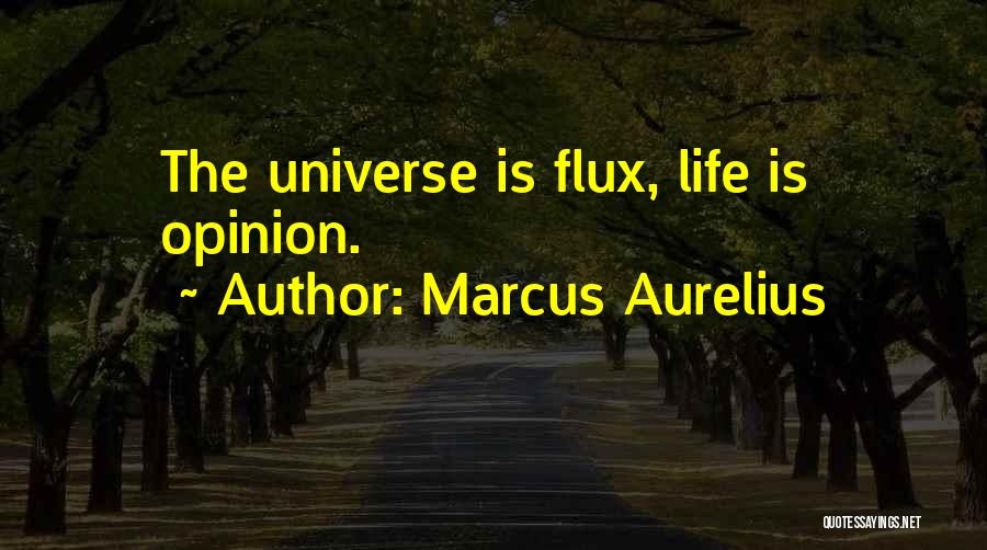 Marcus Aurelius Quotes: The Universe Is Flux, Life Is Opinion.