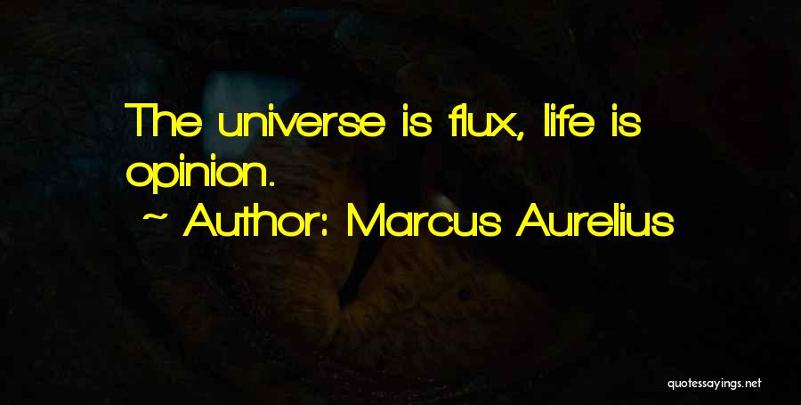 Marcus Aurelius Quotes: The Universe Is Flux, Life Is Opinion.