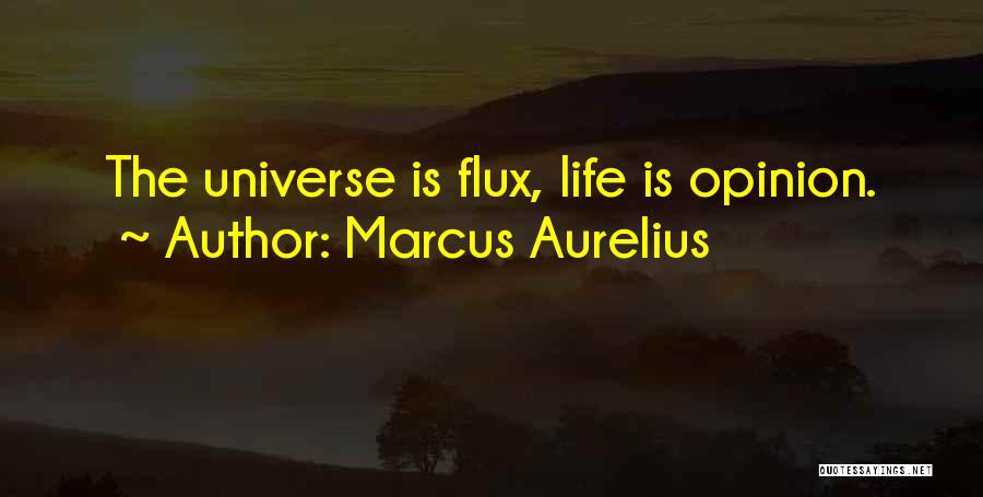 Marcus Aurelius Quotes: The Universe Is Flux, Life Is Opinion.