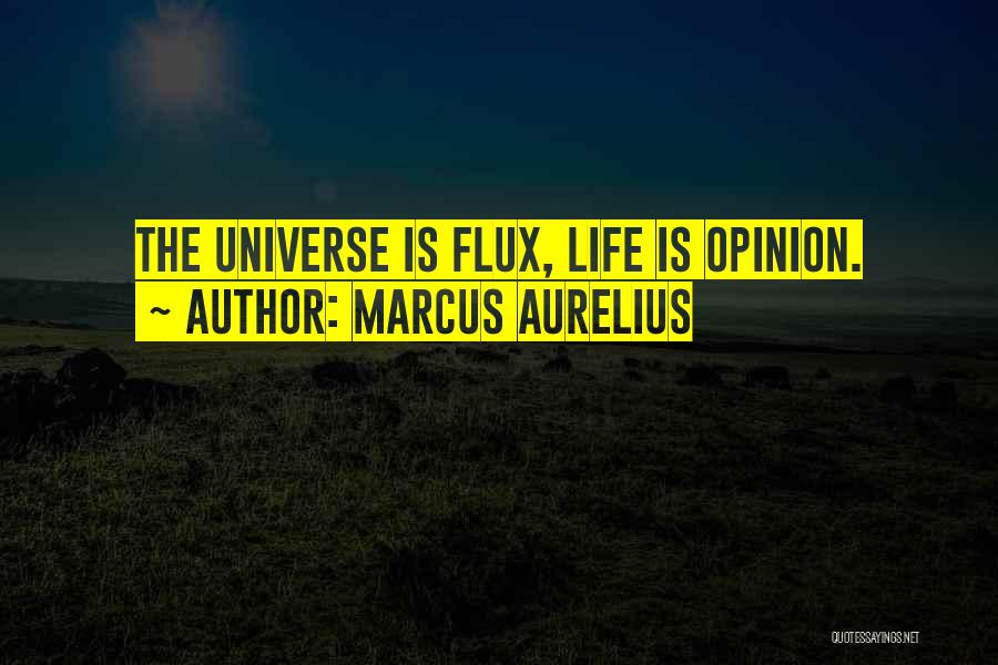 Marcus Aurelius Quotes: The Universe Is Flux, Life Is Opinion.