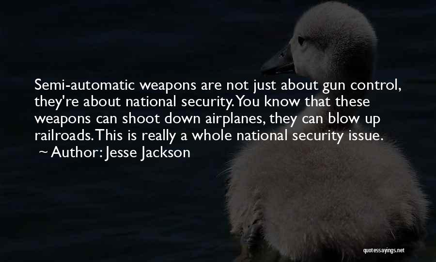 Jesse Jackson Quotes: Semi-automatic Weapons Are Not Just About Gun Control, They're About National Security. You Know That These Weapons Can Shoot Down