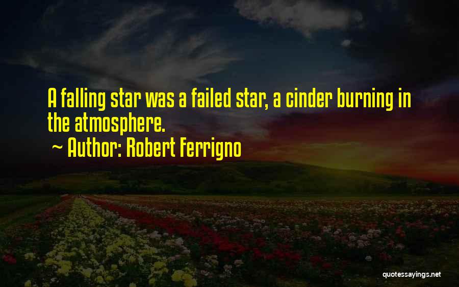 Robert Ferrigno Quotes: A Falling Star Was A Failed Star, A Cinder Burning In The Atmosphere.