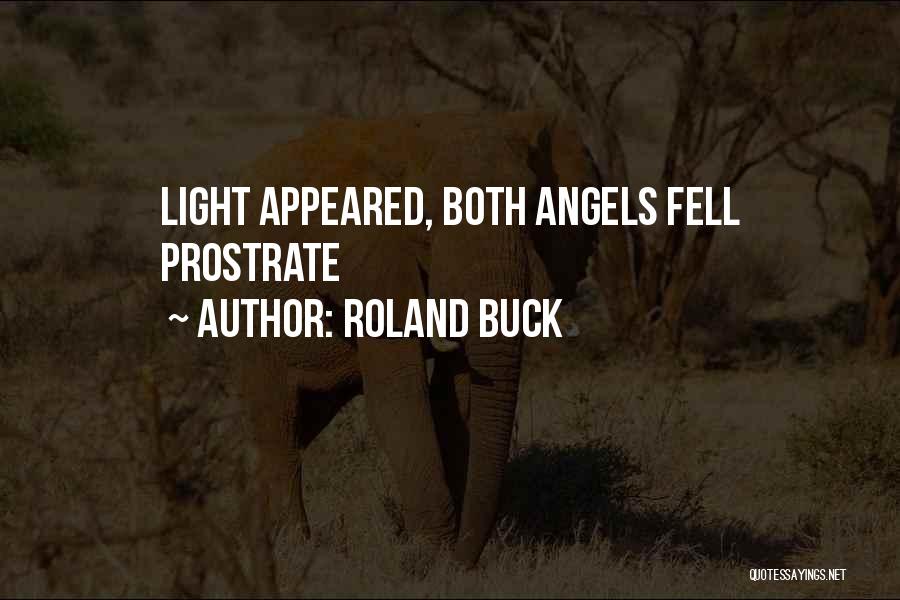 Roland Buck Quotes: Light Appeared, Both Angels Fell Prostrate