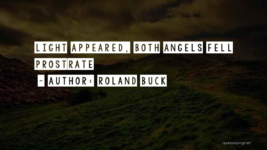 Roland Buck Quotes: Light Appeared, Both Angels Fell Prostrate