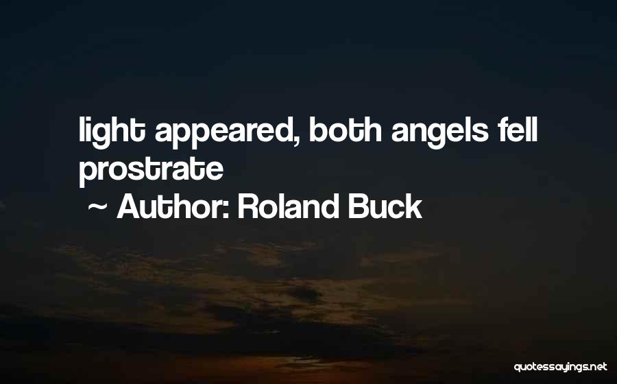 Roland Buck Quotes: Light Appeared, Both Angels Fell Prostrate