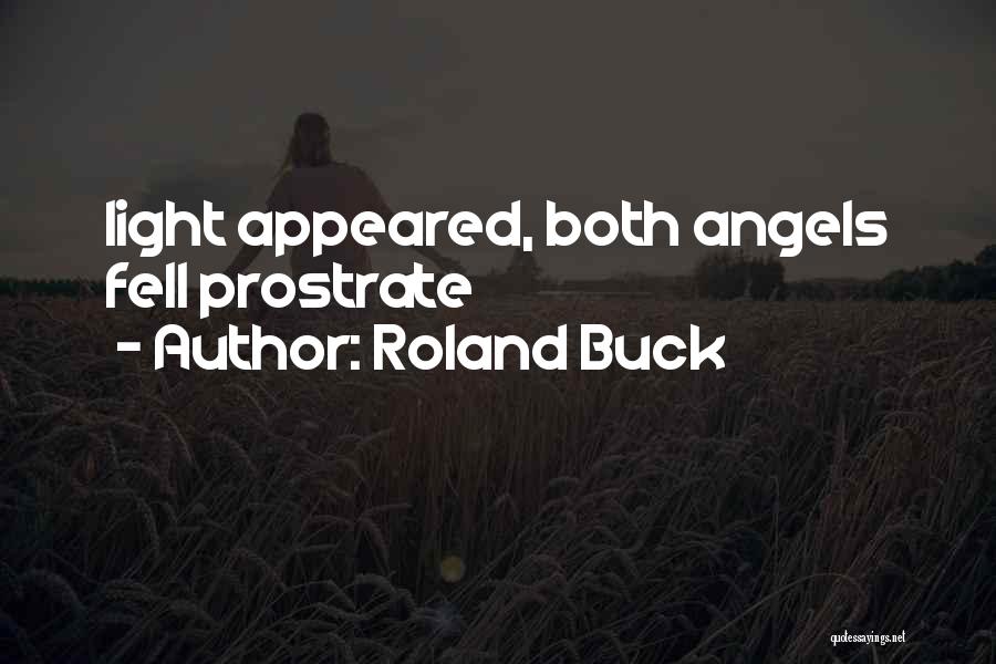 Roland Buck Quotes: Light Appeared, Both Angels Fell Prostrate