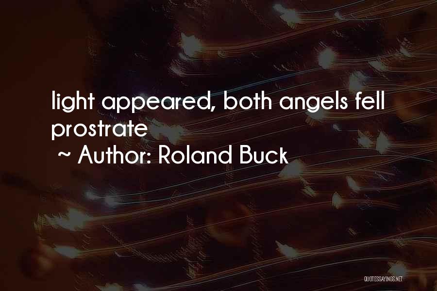 Roland Buck Quotes: Light Appeared, Both Angels Fell Prostrate