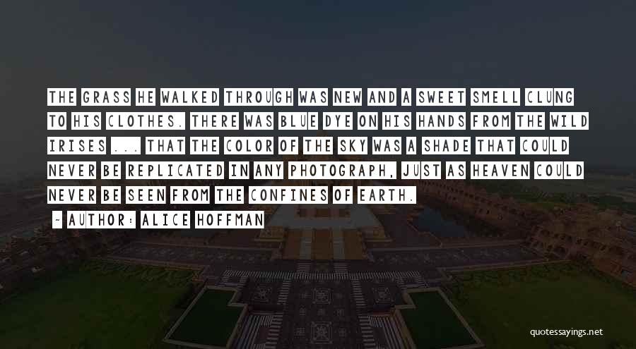 Alice Hoffman Quotes: The Grass He Walked Through Was New And A Sweet Smell Clung To His Clothes. There Was Blue Dye On