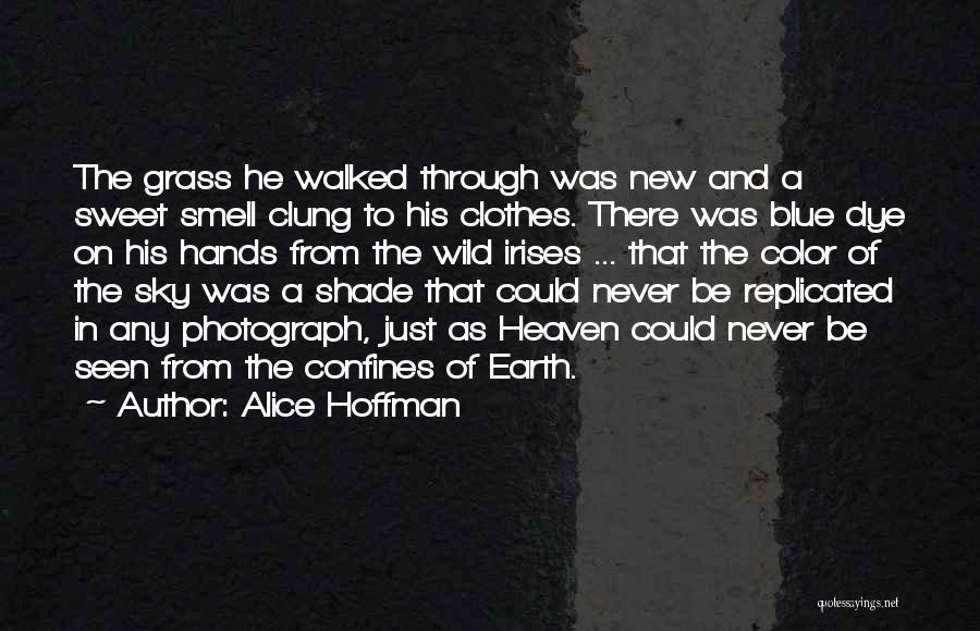 Alice Hoffman Quotes: The Grass He Walked Through Was New And A Sweet Smell Clung To His Clothes. There Was Blue Dye On