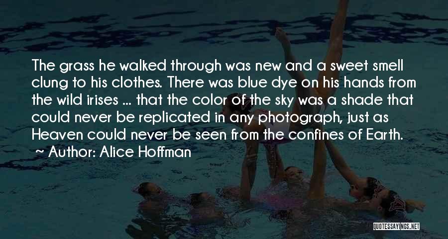 Alice Hoffman Quotes: The Grass He Walked Through Was New And A Sweet Smell Clung To His Clothes. There Was Blue Dye On