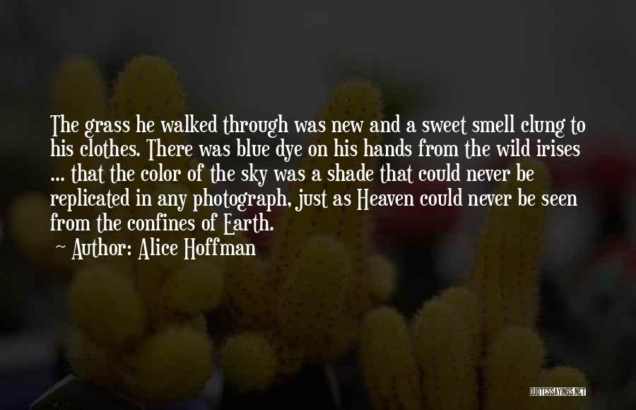 Alice Hoffman Quotes: The Grass He Walked Through Was New And A Sweet Smell Clung To His Clothes. There Was Blue Dye On