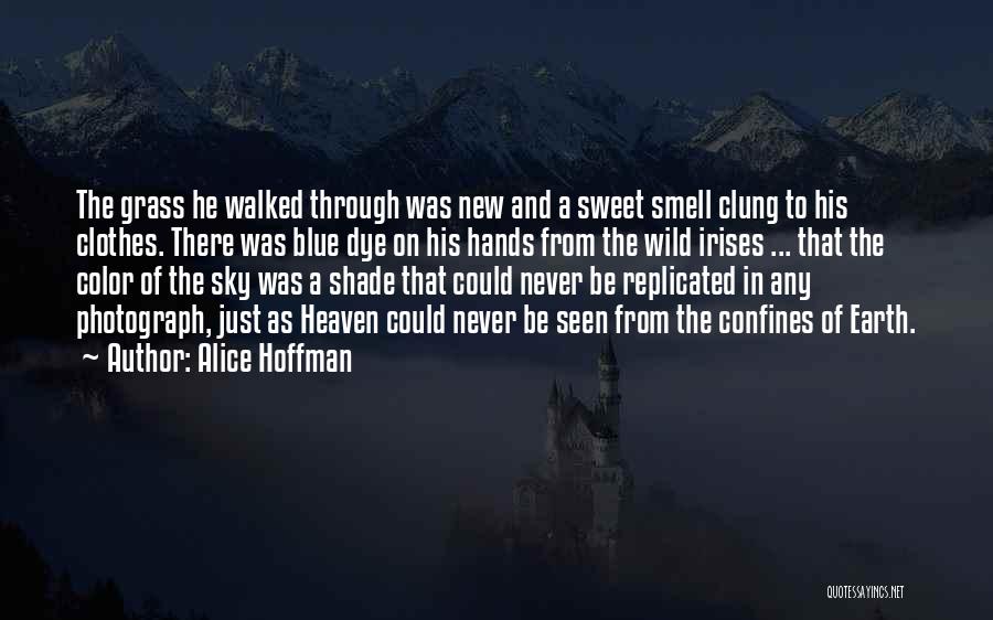 Alice Hoffman Quotes: The Grass He Walked Through Was New And A Sweet Smell Clung To His Clothes. There Was Blue Dye On